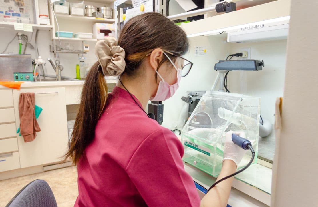 歯科技工士の仕事の様子